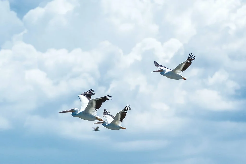 Lead image for Migrating from legacy code  Kotlin Flow